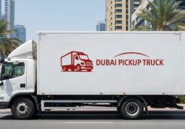 Movers and Packers in Dubai Marina