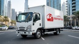 3 Ton Pickup Rental Dubai