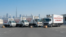 3-Ton-vs-5-Ton-vs-7-Ton-vs-10-Ton-Box-Truck-Dubai-Comparison